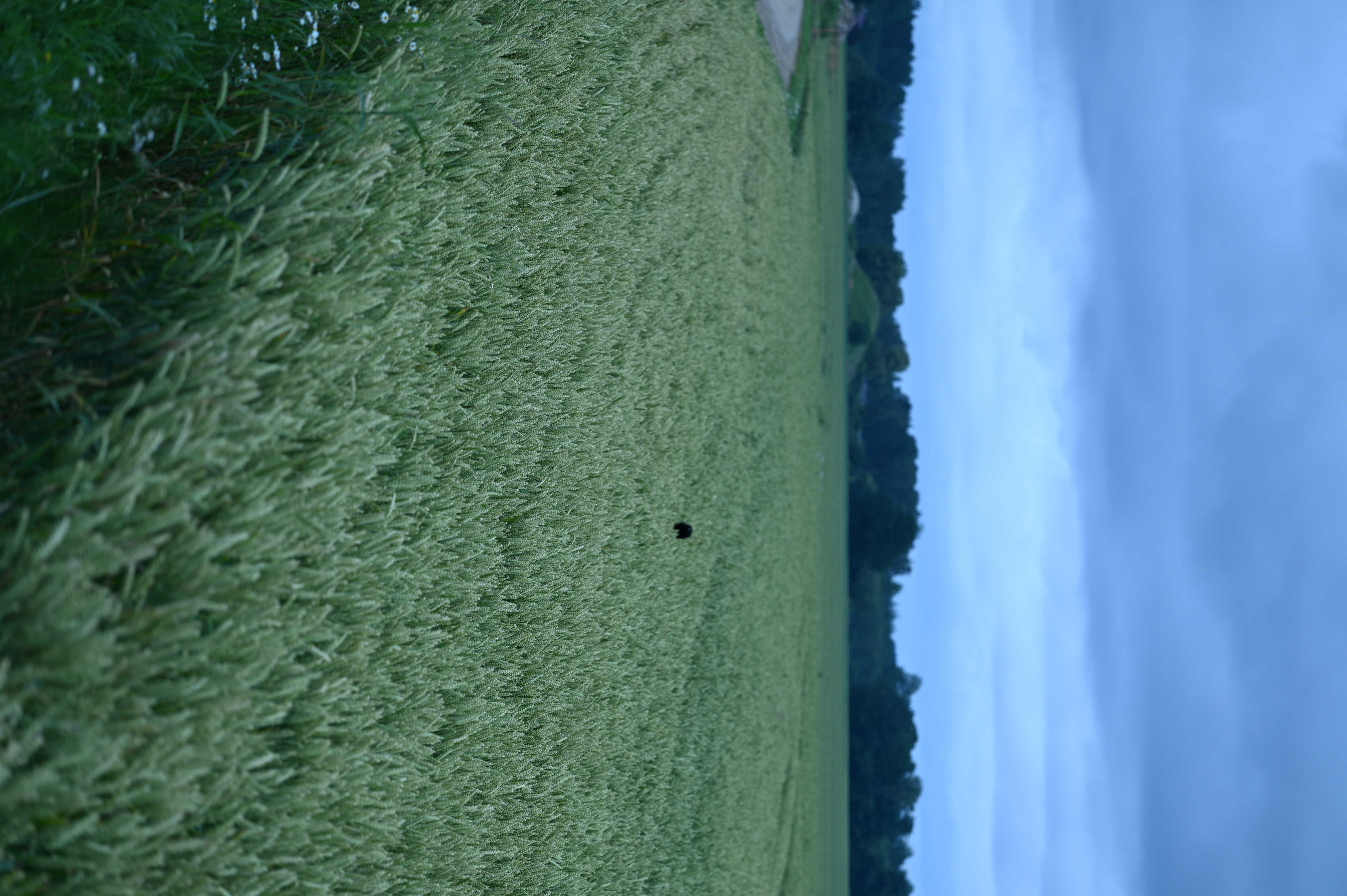 2025/07/09-14 - trip/DSC_0010.JPG